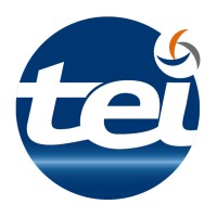 TEI logo - Similar company to Efe