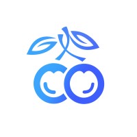 BlackCherry Agency LLC logo - Similar company to Digital Vault Studio