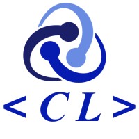 Code Leader logo - Similar company to Egypt Coding
