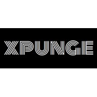 XPUNGE AUTOMOTIVE logo - Similar company to Spektrer