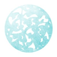 Human Security Solutions logo - Similar company to Gloca
