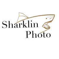 Sharklin Photo logo - Similar company to Dream Boxes