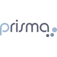 PRISMA SOPORTE INDUSTRIAL logo - Similar company to Pressan Sa
