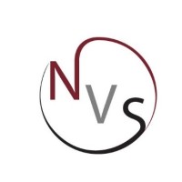 NVS Analytics logo - Similar company to Synerthink Solutions Llp