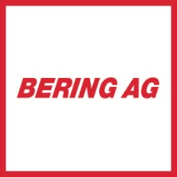 BERING AG logo - Similar company to Sse Engineering Ag