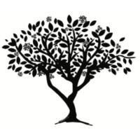 Azanza Consulting logo - Similar company to Fms Asia