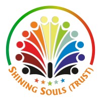Shining Souls  (Trust) logo - Similar company to Versatile Scholars