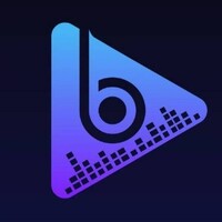 BeatBind: Democratize the entertainment industry! logo - Similar company to Cryptominium