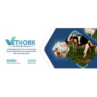 Vetnork for veterinary products logo - Similar company to Digital Scope