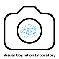 Visual Cognition Laboratory Private Limited logo - Similar company to Onbo