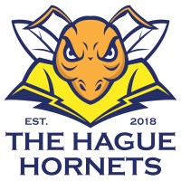 The Hague Hornets logo - Similar company to Huot - Humanity Of Things Agency