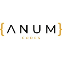ANUM Consulting logo - Similar company to Isnitt As