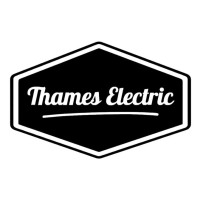 Thames Electric logo - Similar company to Nidaco Inc. Paint Group