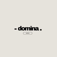 Domina Media logo - Similar company to Digital Mirror