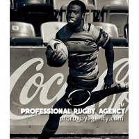 Pro Rugby Agency logo - Similar company to Oval15 - Global Rugby Recruitment