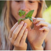 enuf Canada logo - Similar company to Optimizor