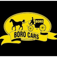 Boro Cars logo - Similar company to Adam Technologies Pvt Ltd