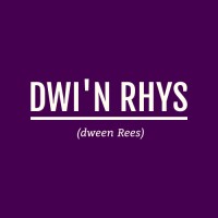 Dwi'n Rhys logo - Similar company to Codingpie