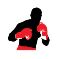 The Mayweather Experience