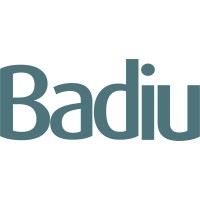 Badiu logo - Similar company to Fcs Web Development