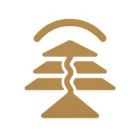 Pavost logo - Similar company to Dltpay