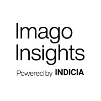 Imago Insights logo - Similar company to Strebor Consultancy