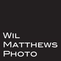 Wil Matthews Photo logo - Similar company to Toolstudios, Llc