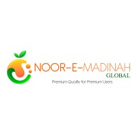 Noor-e-Madinah Global logo - Similar company to Rizq Consulting