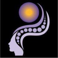 Indigos Consultora logo - Similar company to Simplifica