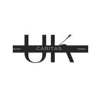 Caritas Innovation logo - Similar company to Revenstrat Consulting