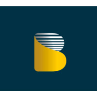 Botho Emerging Markets Group logo - Similar company to Propagate Content