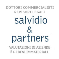 Salvidio & Partners STP logo - Similar company to Level Valuation