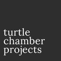 turtle chamber projects logo - Similar company to Sportstake