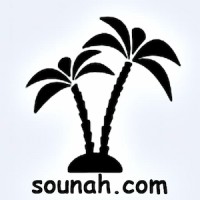 sounah.com logo - Similar company to Geeks Api