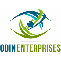Odin Enterprises, LLC logo - Similar company to Hive Group Ai