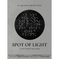 SPOT OF LIGHT logo - Similar company to Hybrid Performance Group