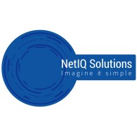 NetIQ Solutions SRL logo - Similar company to Taptasty
