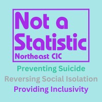 Not A Statistic NorthEast CIC logo - Similar company to Kraken Networking