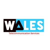 Wales Telecommunications Services logo - Similar company to Daehn Solutions: It, Telecommunications, And Security Solutions