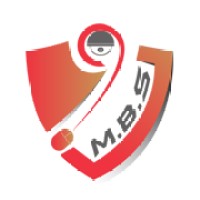 Mega Business solutions logo - Similar company to Seer Intelligent Solutions
