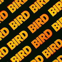 Bird'S Got Your Back