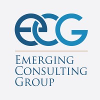Emerging Consulting Group logo - Similar company to Identity Infotech