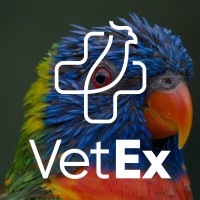 VetEx - Serviços Veterinários a Animais Exóticos logo - Similar company to Eurobaron - Comércio De Produtos Para Animais De Estimação,Lda.