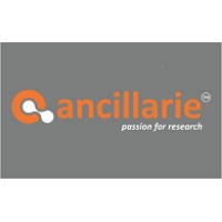 ancillarie logo - Similar company to Statslibs