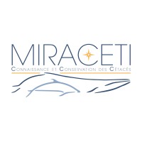 MIRACETI logo - Similar company to Longitude 181