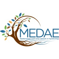 MEDAE logo - Similar company to Medae