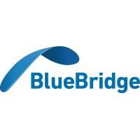 Blue Bridge Code logo - Similar company to Stekas