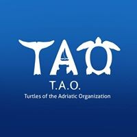 TAO Turtles of the Adriatic Organization logo - Similar company to Snowcop