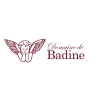DOMAINE DE BADINE, lieu événementiel logo - Similar company to Univirtuel