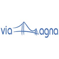 Via Magna Private Limited logo - Similar company to Surelia Infosystems Private Limited